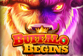 Buffalo begins thumbnail